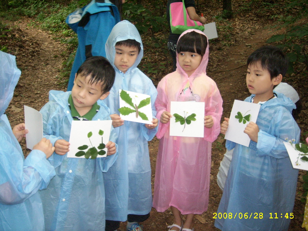 유아환경교육 실습